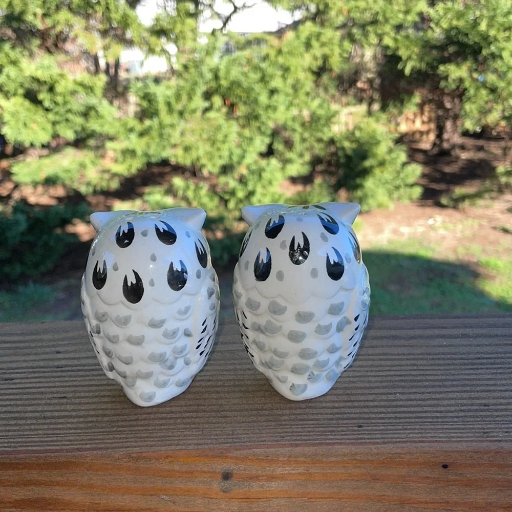 Owl Salt & Pepper Shakers